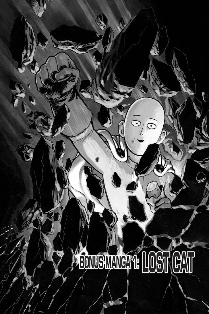 One-Punch Man, Chapter 40.5
