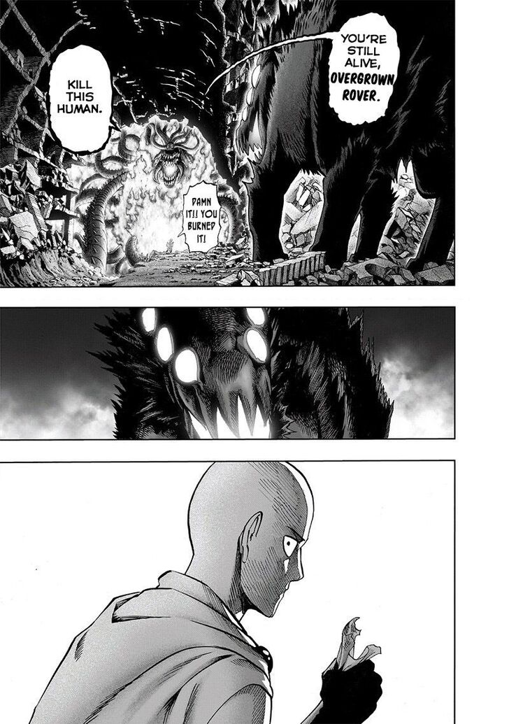 One-Punch Man, Chapter 108